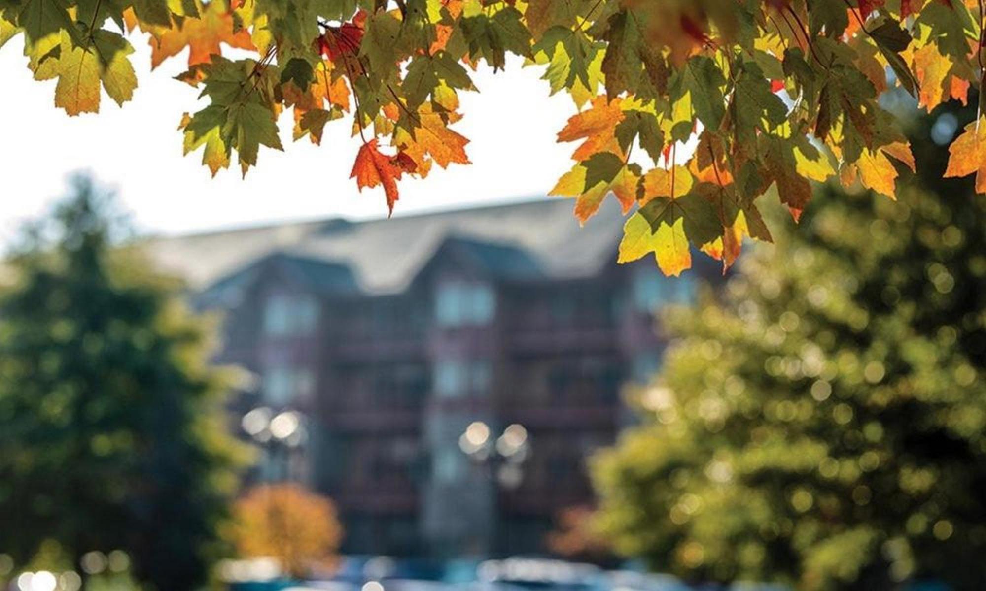 Great Smokies Lodge Sevierville By Hellovacay المظهر الخارجي الصورة